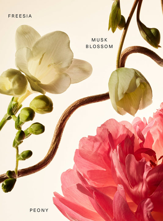 Fragrance Layering Balm Floral Peony Blossom by Rare Beauty