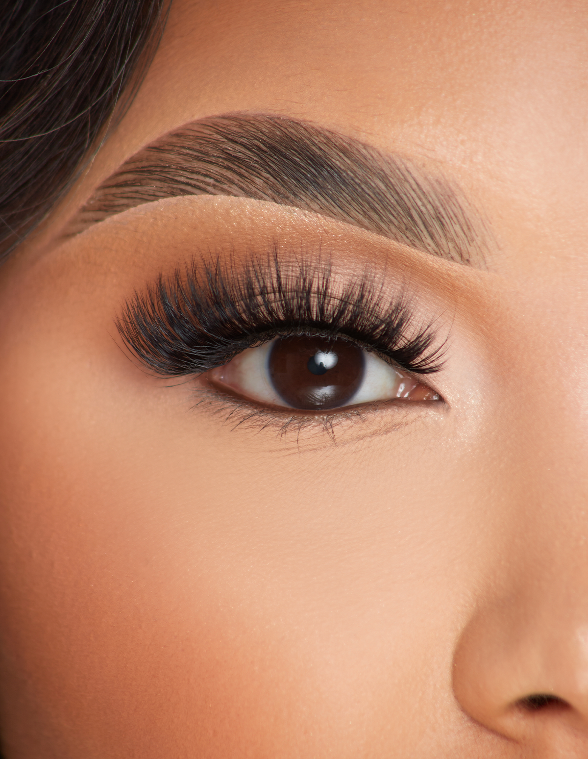 Lashed In Love False Lashes by P. Louise Cosmetics